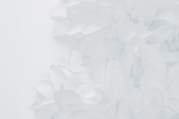 Beautiful abstract color blue and white flowers on white  background and pink flower frame and white and  background texture, flowers banner 