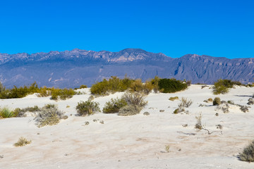 Las dunas de yeso en cuatrocienegas