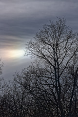 Naklejka premium Nuages d'hiver