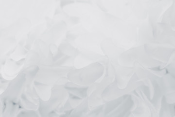 Beautiful abstract color blue and white flowers on white  background and pink flower frame and white and  background texture, flowers banner 