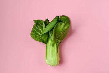 fresh green Chinese cabbage, bok choy, pok choi or pak choi on pink background - obrazy, fototapety, plakaty