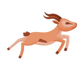 African Wild Brown-tailed Gazelle with Horns Vector Illustration
