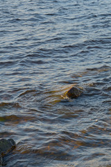 Rocks in water on the coast of a lake. Natural background. Copy space.  