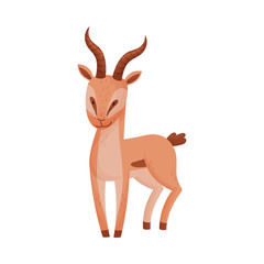 Obraz premium African Gazelle in Standing Pose Stylized Drawing Vector Illustration