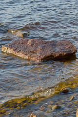 Rocks in water on the coast of a lake. Natural background. Copy space.  