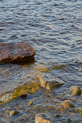 Rocks in water on the coast of a lake. Natural background. Copy space.  