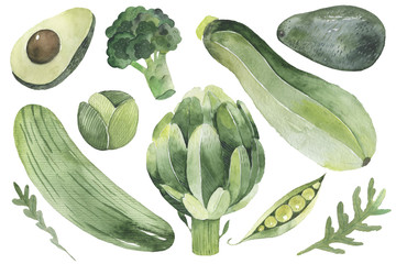 Green vegetables design set 1. radishes, leeks, peas, arugula, parsley