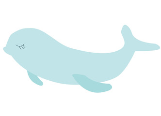Obraz premium Sea life. Vector illustration. Cute colored beluga. Bright colors. Underwater world, marine animals. Hand drawn cute. Isolated on white background