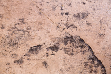 Concrete floor background