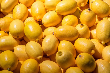 Background of whole lemons. Concept - growing lemons. Citrus family. Background of fruits. Fruits of the lemon tree. Concept - cooking with fresh lemons. Lemon juice. Juice production.