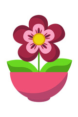 Colourful flower in a pot