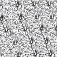 hibiscus pattern