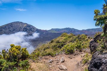 An overlooking view of nature in Maui, Hawaii