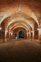 Fototapeta premium The Gifhorn castle in Germany at night