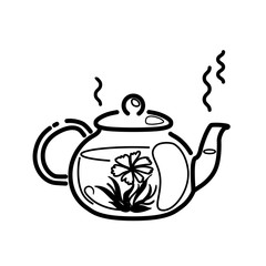 Line Hot blooming tea in glass teapot isolated on white background. Front view of japanese flowering drink ceremony. Vector natural pictogram. Spa, wellness relaxation concept. Nature healthy symbol