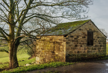 One of the many features for visitors to Five Rise Locks in Bingley is this old stone workshop seen lit up by winter sunshine