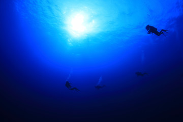 Obraz na płótnie Canvas Group of scuba divers