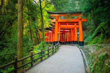 Foto op Plexiglas Kyoto Japan. Kioto. De oranje poorten van het heiligdom Fushimi Inari. Fushimi Inari Taisha-tempel. De berg van Inariyama in Japan. Toegang tot de torii Shinto-tempel in Kyoto. Oranje poort tussen de bomen.
