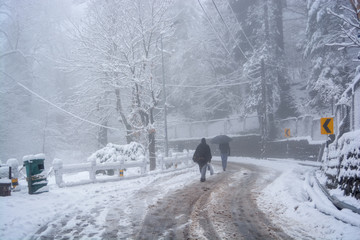 People walking during snow storm 