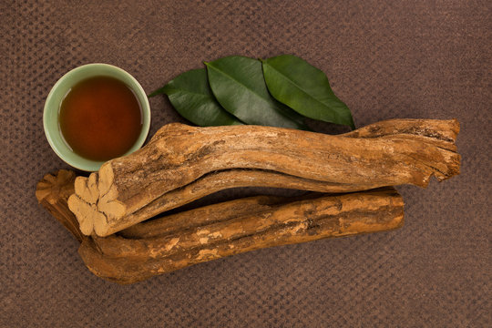 Traditional visionary medicine Ayahuasca.