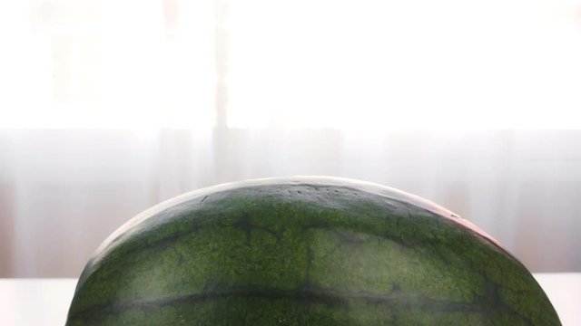 Big green watermelon lies on a white table