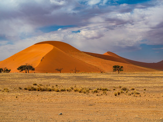 Fototapeta na wymiar Dead Camelthorn Trees against red dunes and blue sky in Deadvlei, Sossusvlei. Namib-Naukluft National Park, Namibia, Africa