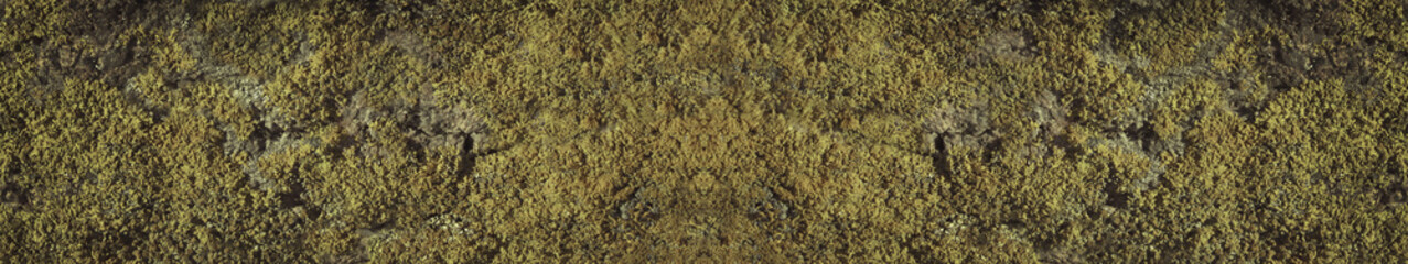 Green abstract grunge background. Moss and lichen on a concrete wall. Stone texture with moss background for your design. Green grunge banner. Copy space for your text. 