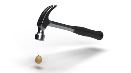 Walnut & Hammer