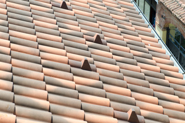 detail of the roof with snow-stop tiles
