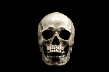 Front view of a human skull with open mouth isolated on black background. - 309924577