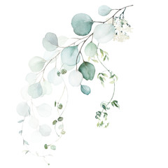 Watercolor floral illustration bouquet - green leaf branch collection, for wedding stationary, greetings, wallpapers, fashion, background. Eucalyptus, olive, green leaves, etc. © Veris Studio