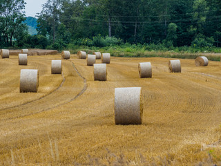 Ballen aus Stroh auf einem Feld in der Landwirtschaft