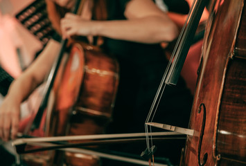 Symphony orchestra on stage, hands playing cello