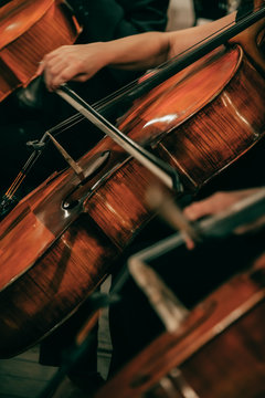 Symphony orchestra on stage, hands playing cello