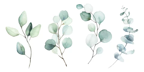 Tuinposter Aquarel bloemen illustratie set - groene blad takken collectie, voor bruiloft stationaire, groeten, wallpapers, mode, achtergrond. Eucalyptus, olijf, groene bladeren, enz. © Veris Studio