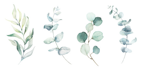 Watercolor floral illustration set - green leaf branches collection, for wedding stationary, greetings, wallpapers, fashion, background. Eucalyptus, olive, green leaves, etc. © Veris Studio