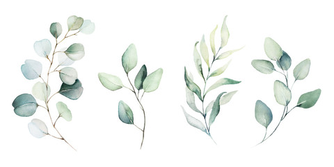 Watercolor floral illustration set - green leaf branches collection, for wedding stationary, greetings, wallpapers, fashion, background. Eucalyptus, olive, green leaves, etc. - obrazy, fototapety, plakaty