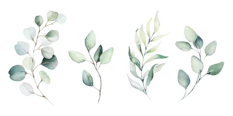 Fotobehang Watercolor floral illustration set - green leaf branches collection, for wedding stationary, greetings, wallpapers, fashion, background. Eucalyptus, olive, green leaves, etc. © Veris Studio