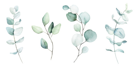 Watercolor floral illustration set - green leaf branches collection, for wedding stationary, greetings, wallpapers, fashion, background. Eucalyptus, olive, green leaves, etc. - obrazy, fototapety, plakaty