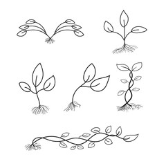 Set of hand drawn plant illustration. Flat vector design isolated.