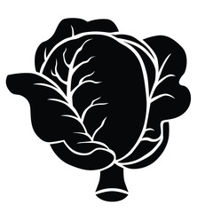 Vector illustration of white cabbage silhouette icon