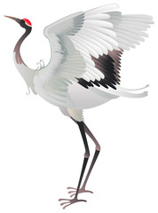 Japanese crane. Dance. The stylized image. Vector graphics
