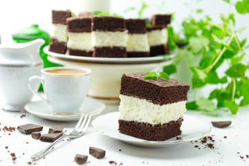 Chocolate cake and coffee, more cakes and a green plant in the background