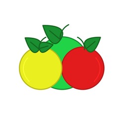 Three apples of three colors red yellow and green isolated on a white background vector