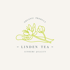 Vector design colorful templat logo or emblem - organic herb linden tea. Logos in trendy linear style isolated on white background.
