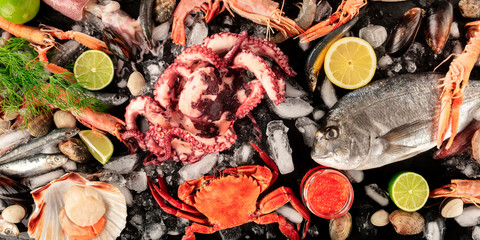 Fish and seafood panorama, a flat lay top shot on a dark background. Fresh sea bream. shrimps, crab, sardines, squid, mussels, octopus, scallops and caviar