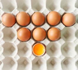 Concept healthy food, Fresh brown chicken eggs and yolk in eggshell on paper tray pattern background