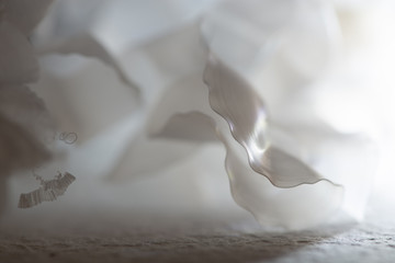 white surface backdrop 