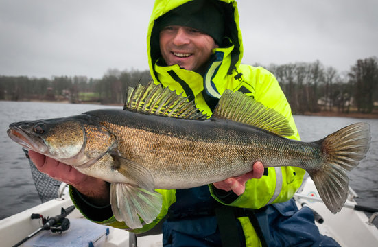 Happy angler with big zander fishing trophy
