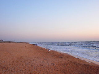 Seagull flying against the wind over waves of stormy sea on a background of colorful sky at dawn.